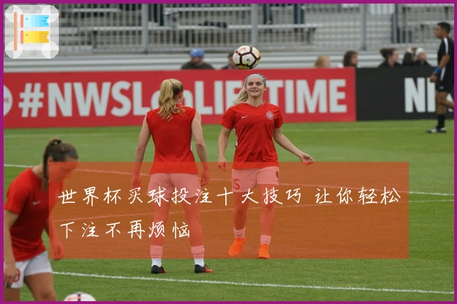 世界杯买球投注十大技巧 让你轻松下注不再烦恼