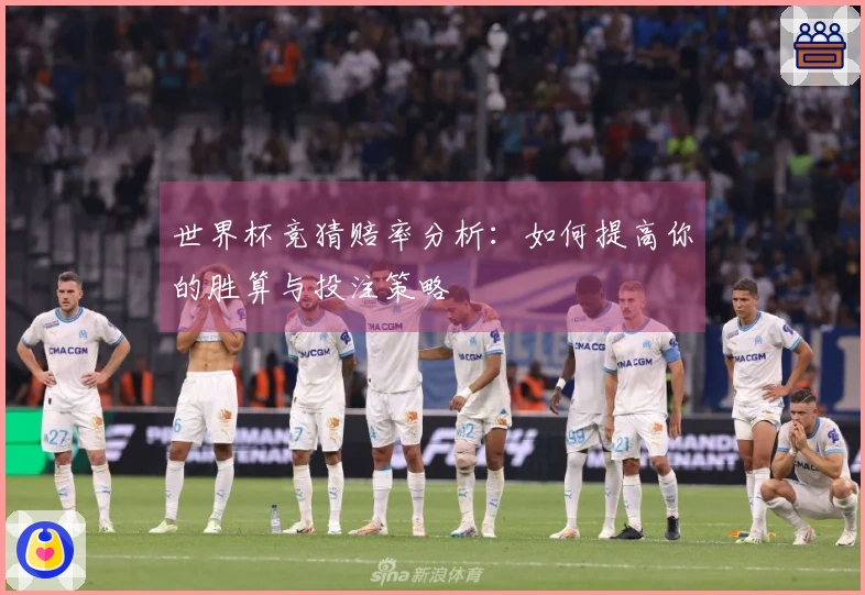 世界杯竞猜赔率分析：如何提高你的胜算与投注策略