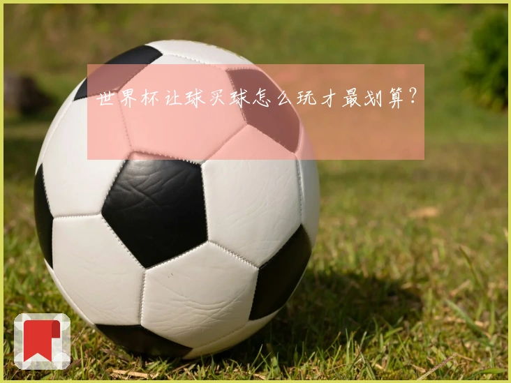 世界杯让球买球怎么玩才最划算？