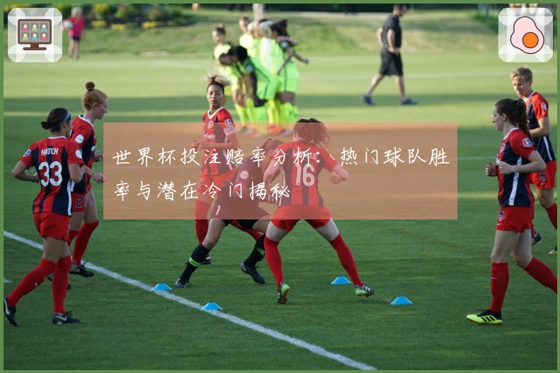 世界杯投注赔率分析：热门球队胜率与潜在冷门揭秘